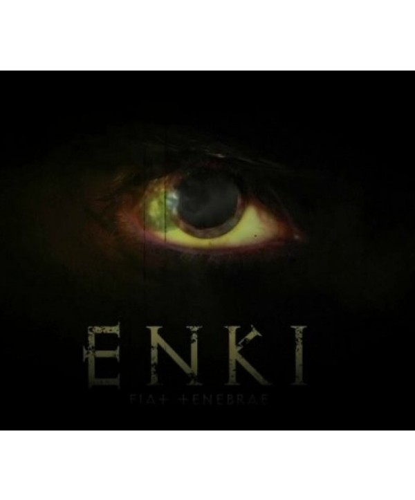 Enki Steam Key GLOBAL